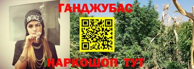 дмт Можайск