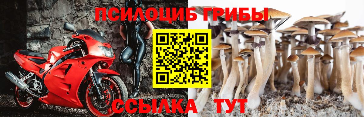 Псилоцибиновые грибы Cubensis Шали
