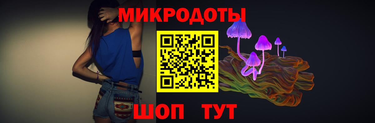 Псилоцибиновые грибы Cubensis  Вход с VPN  Шали 